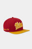 VIBES Style Logo Snapback